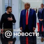 Welt se enteró de los intentos de Zelensky de lograr una reunión con Trump