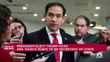 Trump elige a Marco Rubio como su candidato para secretario de Estado