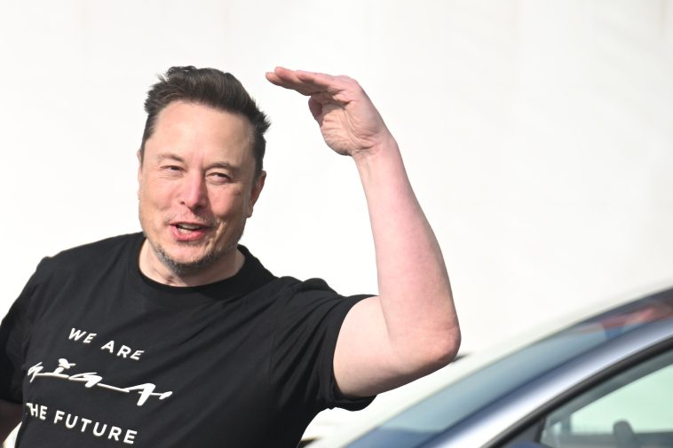 Berlín mantiene la calma después de que Musk respaldara a AfD - Euractiv