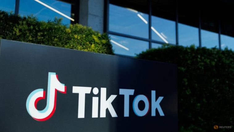 ByteDance y TikTok buscan detener temporalmente la ley represiva de EE. UU. en espera de la revisión de la Corte Suprema