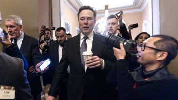 Elon Musk respalda al partido AfD en un artículo de opinión en un periódico alemán - Euractiv