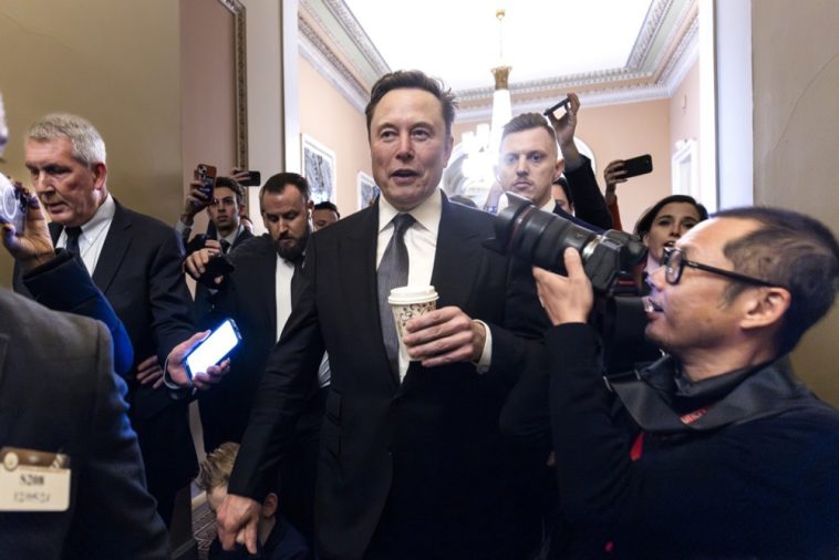 Elon Musk respalda al partido AfD en un artículo de opinión en un periódico alemán - Euractiv