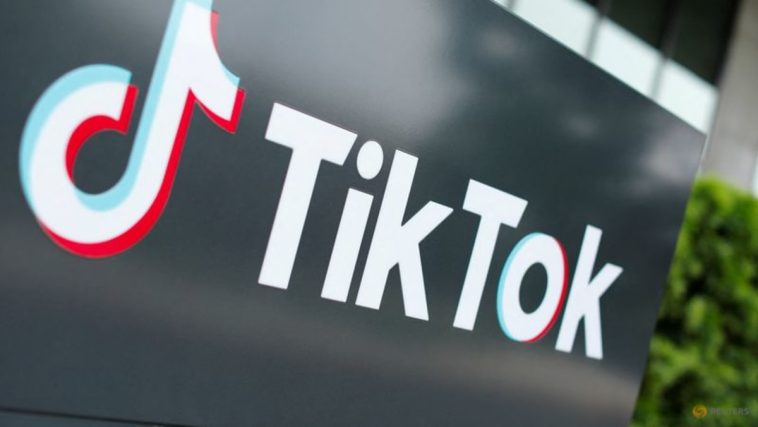 Estados Unidos pide a un tribunal que rechace el intento de TikTok de evitar una ley que podría prohibir la aplicación