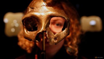 Los genomas revelan el momento en que el Homo sapiens se cruza con los neandertales