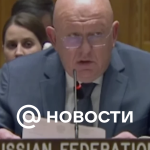 Nebenzya: El Consejo de Seguridad de la ONU está unido en la cuestión de la preservación de la integridad territorial de la RAE