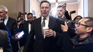 Políticos alemanes denuncian el apoyo de Elon Musk a AfD como una intromisión electoral "intrusiva" - Euractiv