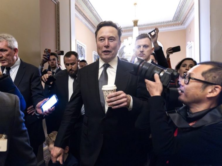 Políticos alemanes denuncian el apoyo de Elon Musk a AfD como una intromisión electoral "intrusiva" - Euractiv