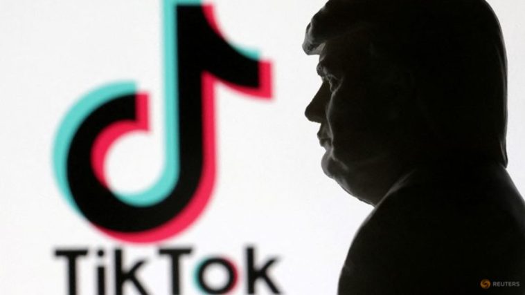 Comentario: TikTok haría bien en no abrazar a Donald Trump con demasiado fervor