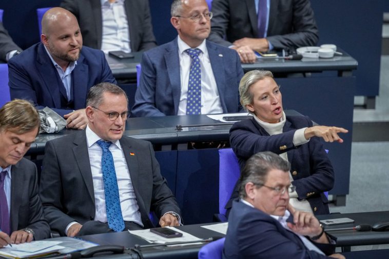 El informe: ¿el último esfuerzo de Alemania? - Euractiv