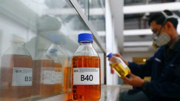 El retraso del aceite de palma B40 en Indonesia provoca incertidumbre en el mercado