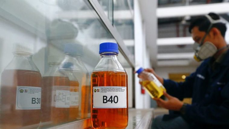 El retraso del aceite de palma B40 en Indonesia provoca incertidumbre en el mercado