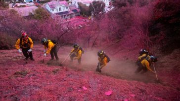 Los bomberos trabajan para despejar un cortafuegos en una ladera cubierta con retardante en Palisades Fire