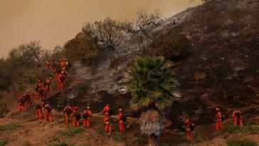 Bomberos encarcelados cavando una línea de contención para combatir el incendio de Palisades el 11 de enero.