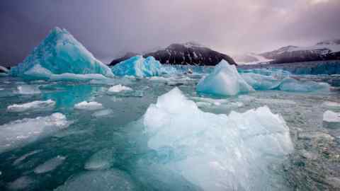 Hielo marino ártico