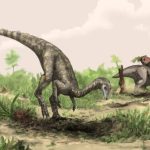 ¿Dónde evolucionaron por primera vez los dinosaurios? Los científicos tienen una respuesta