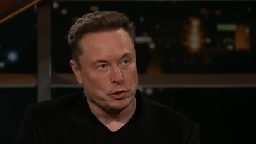 Elon almizcle