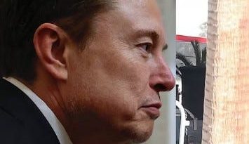 Los demócratas se mudan a citar a elon almizcle