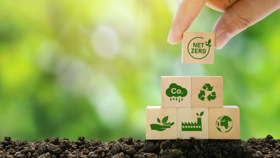 El gobierno rumano aprueba el Programa de Adquisiciones Verdes - Euractiv